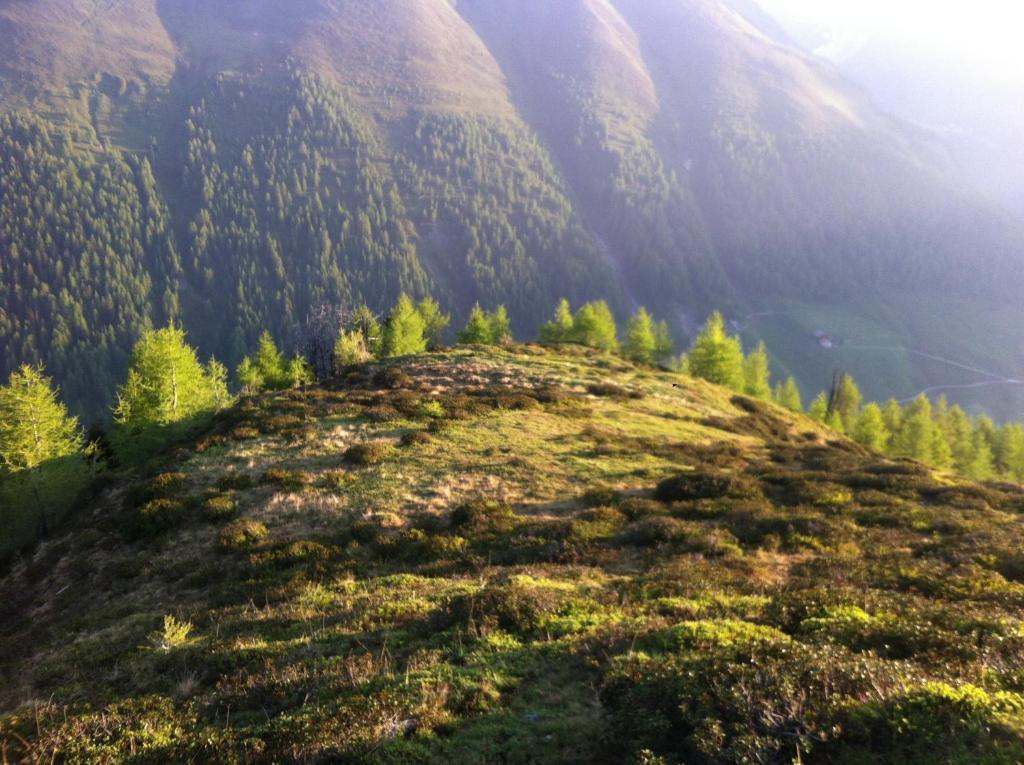 سيلفا دي موليني B&B Das Land-Palais - Private Mountain Hideaway المظهر الخارجي الصورة